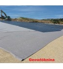 Geowłóknina 300g/m2 5x50m drogowa i drenażowa 