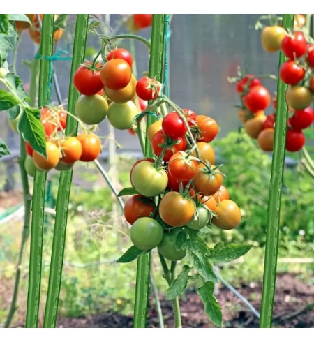 TYCZKI DO POMIDORÓW ROŚLIN PALIKI PODPORA STAL POWLEKANA 120cm 11mm 10 szt.