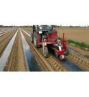 Folia ściółkująca UV4 50um czarna 1,2x300m z otworami 36x31cm