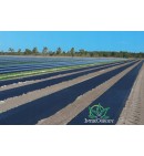 Folia ściółkująca UV4 50um czarna 1,2x300m z otworami 36x31cm
